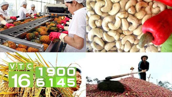 Xu hướng Người xưa dặn trồng chuối sau: Hotspot Matrix tiết lộ bí quyết video viral