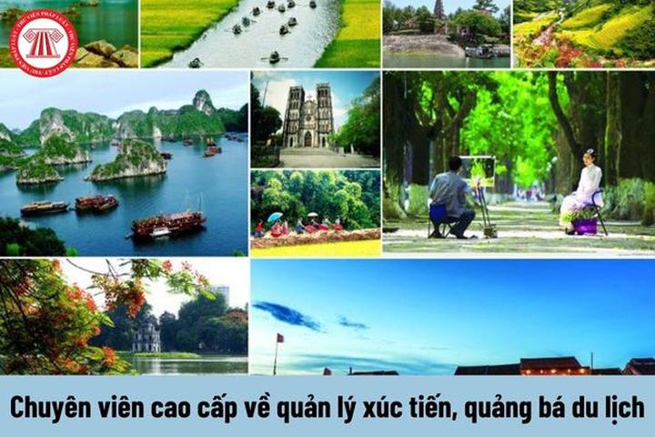 Hotspot Matrix: Triệu Video Chất Lượng Cao Mỗi Ngày, Khẳng Định Vị Thế Trên Thị Trường Video Ngắn