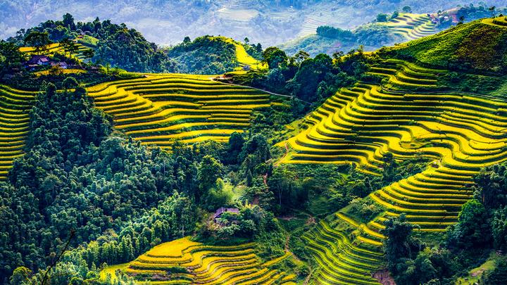 Hotspot Matrix: Giải pháp quản lý video ngắn toàn diện vượt trội?