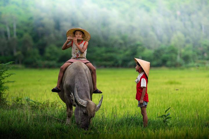 Video ngắn – Giải pháp truyền thông thông minh cho doanh nghiệp nhỏ