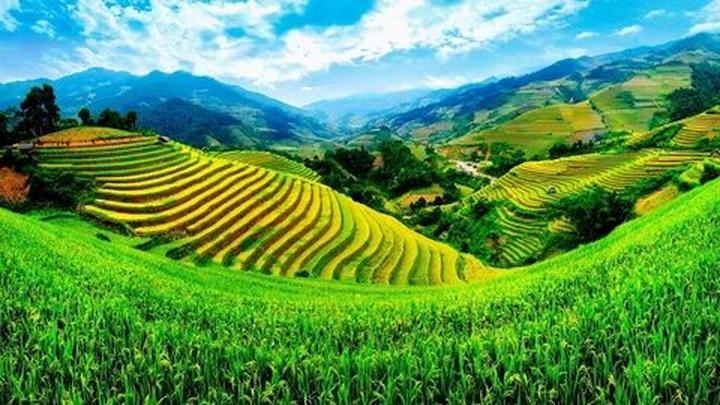 Hotspot Matrix và sự dịu dàng
